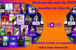 Canal 15 en Vivo